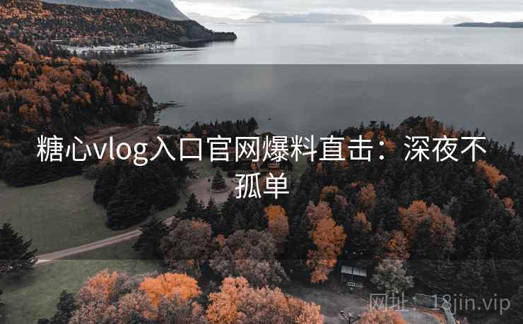 糖心vlog入口官网爆料直击：深夜不孤单