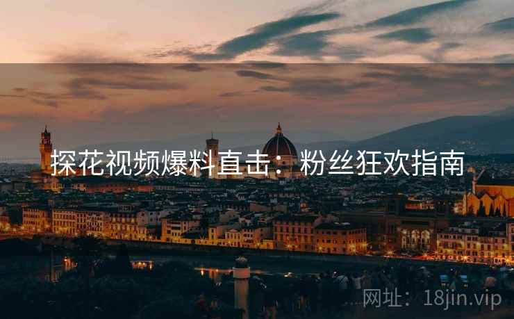 探花视频爆料直击：粉丝狂欢指南