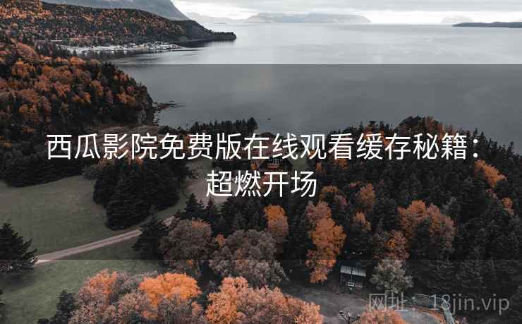 西瓜影院免费版在线观看缓存秘籍：超燃开场
