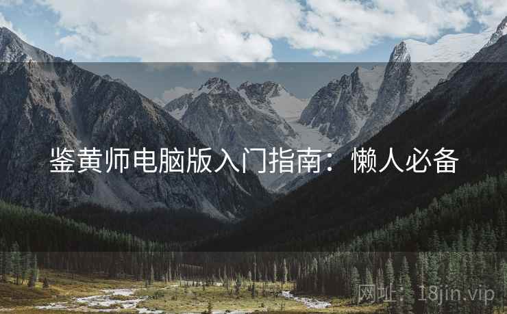 鉴黄师电脑版入门指南：懒人必备