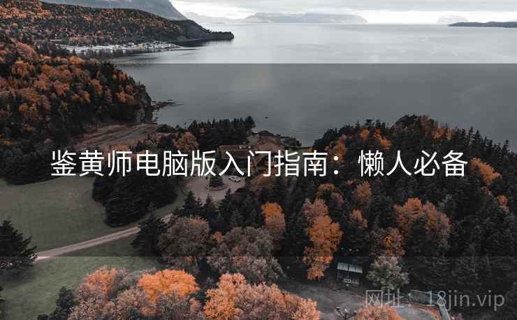 鉴黄师电脑版入门指南：懒人必备